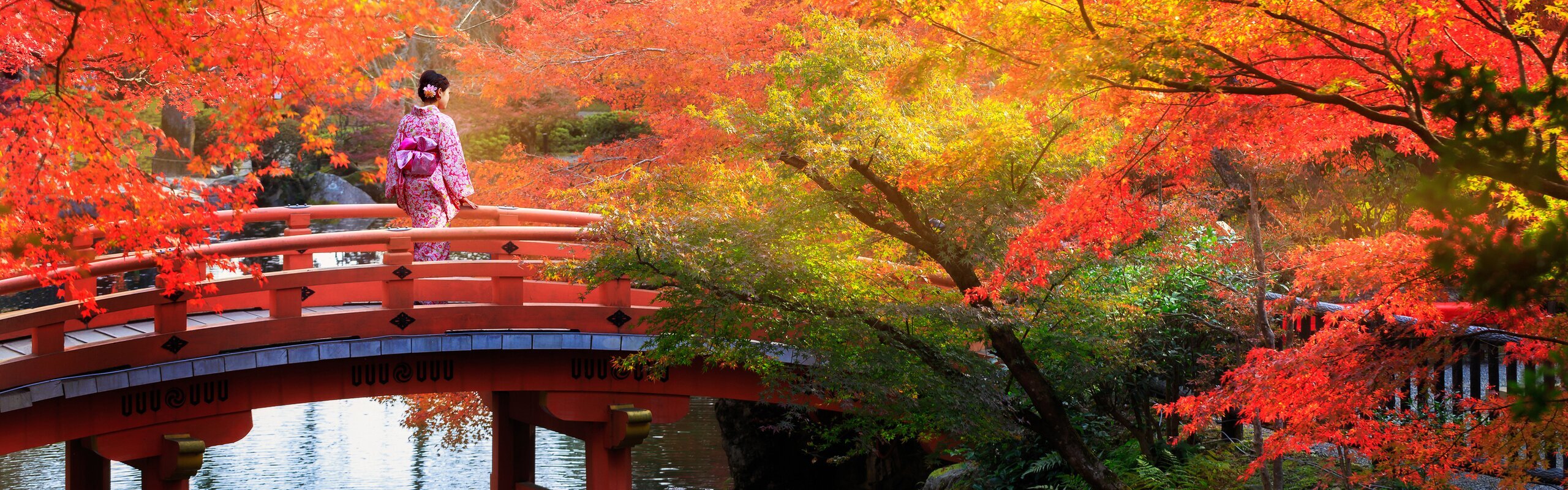 9-Day Japan Highlights Tour