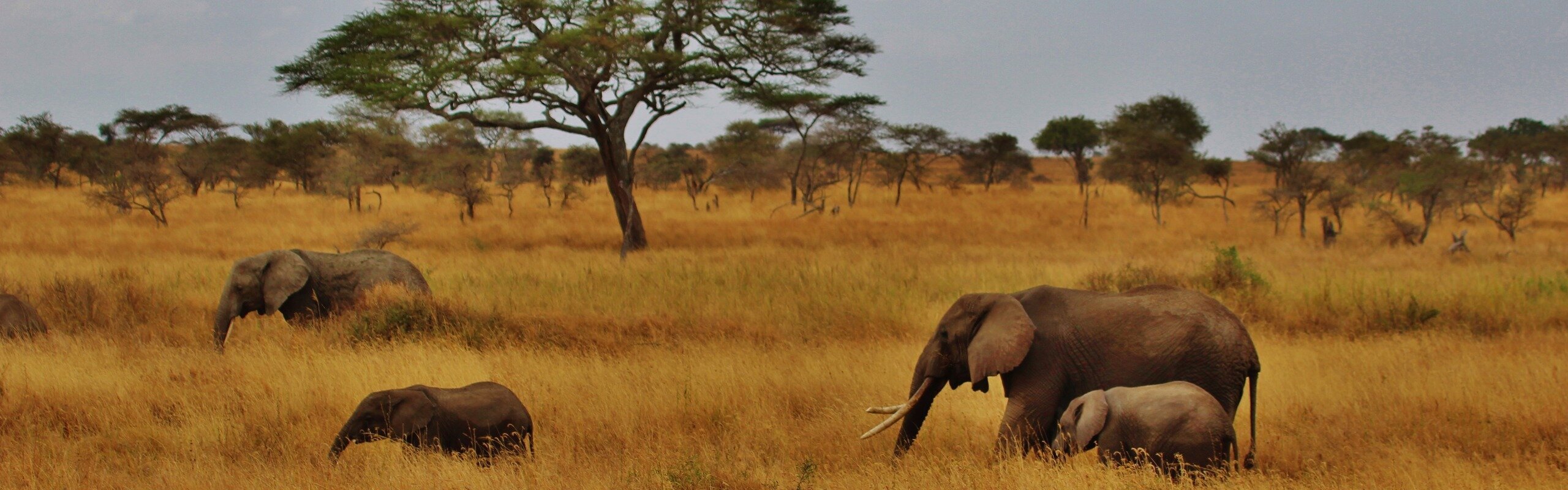 2 Weeks in South Africa: 5 Best Itinerary Ideas for Beginners 