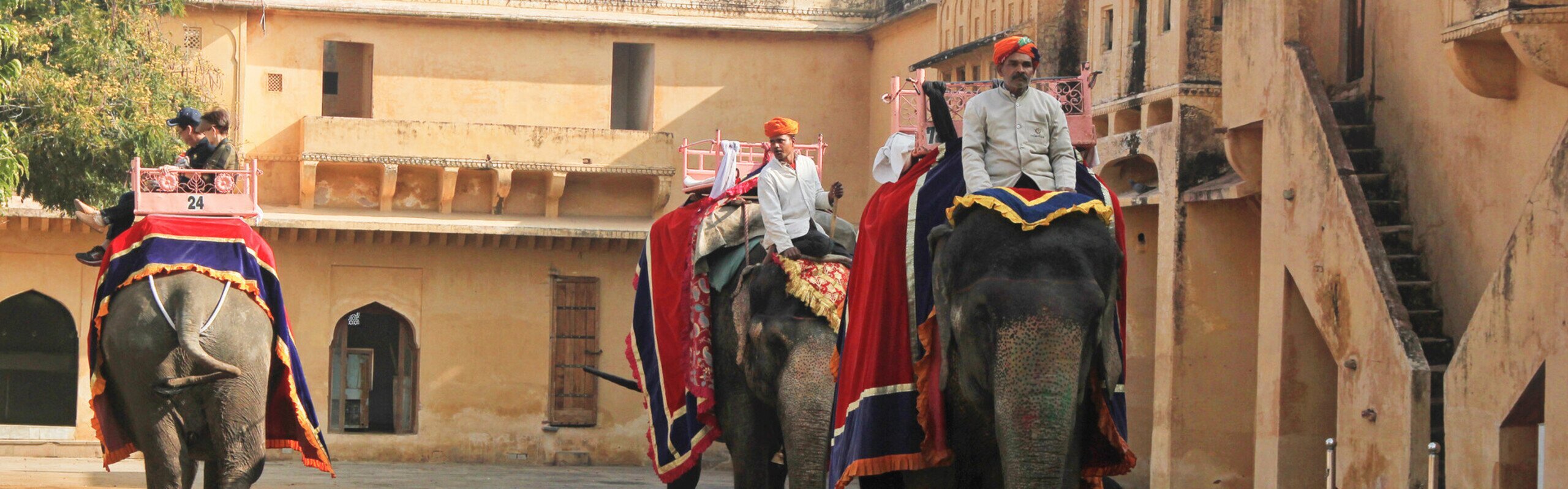 12-Day Family Holiday in India