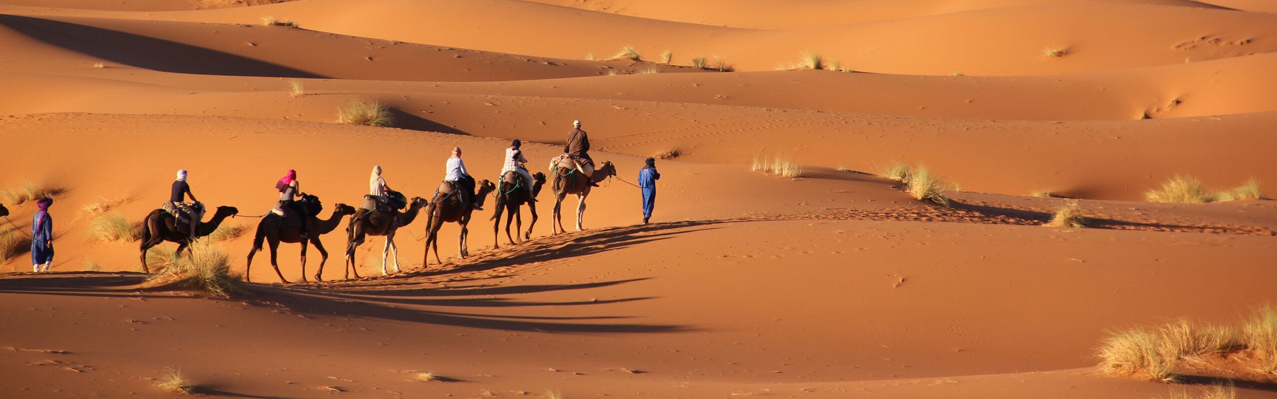 18 of the Best Things to See and Do in Morocco