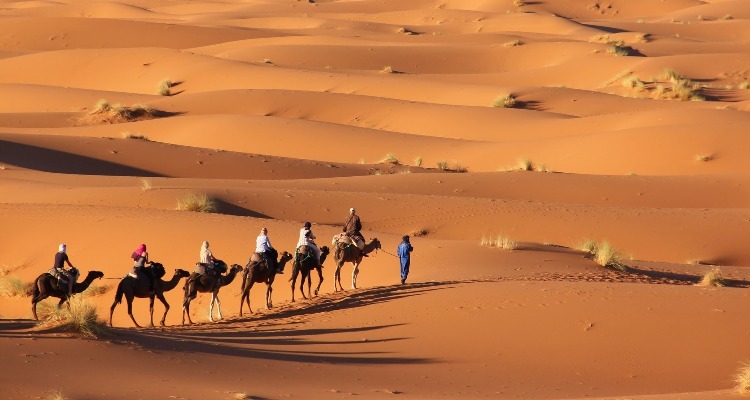 Morocco Weather in March 2025: Travel Tips for First-Timers