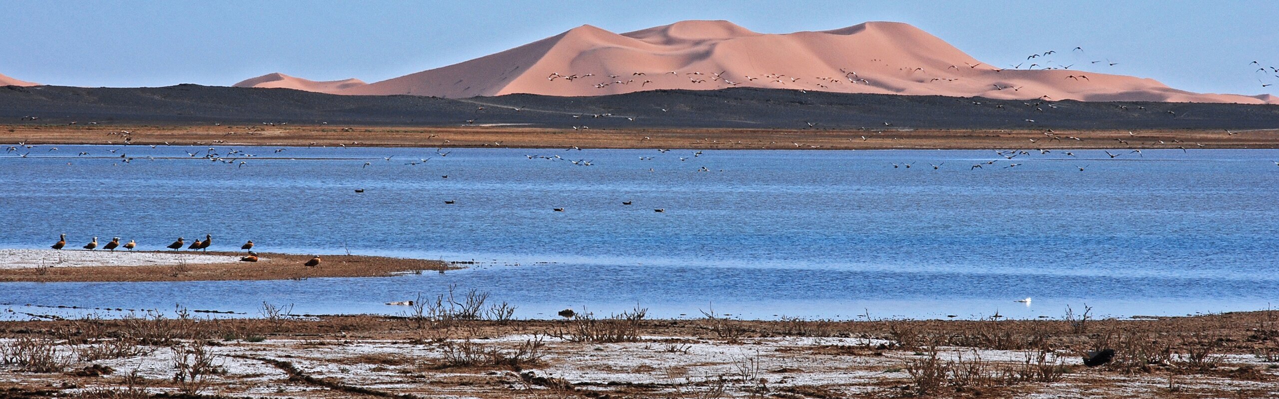 Morocco Weather in November 2025: Travel Tips for First-Timers