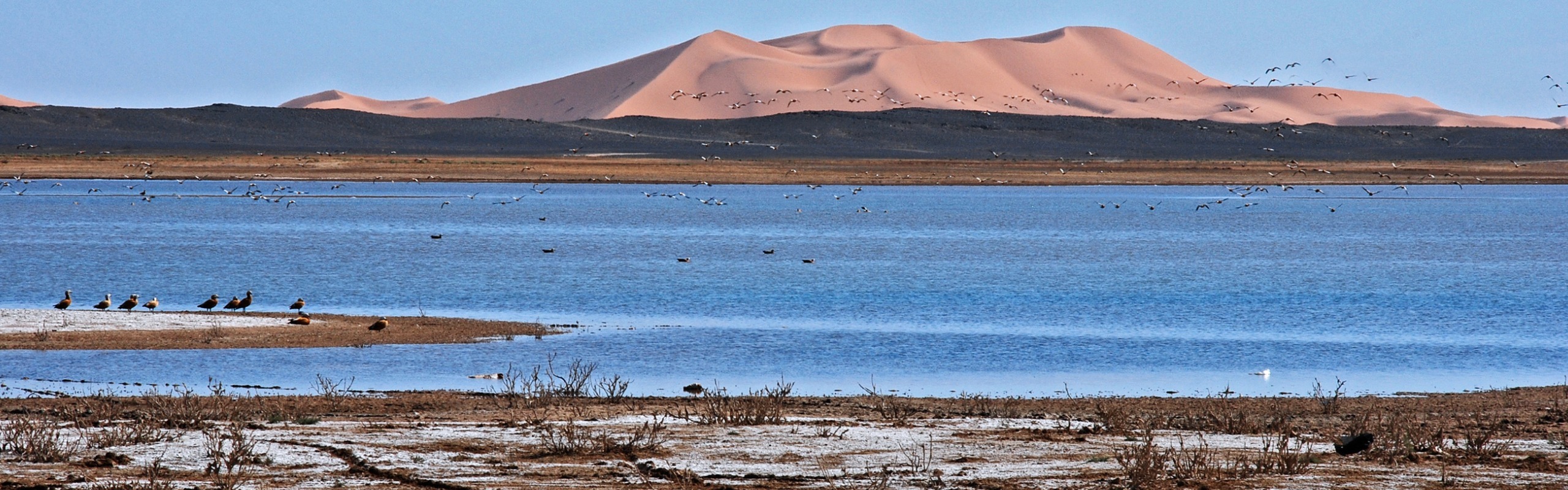 Morocco Weather in November 2024 Warm to Mild, Places to Go