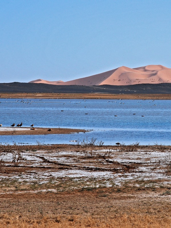 Morocco Weather January 2024 Goldy Robenia