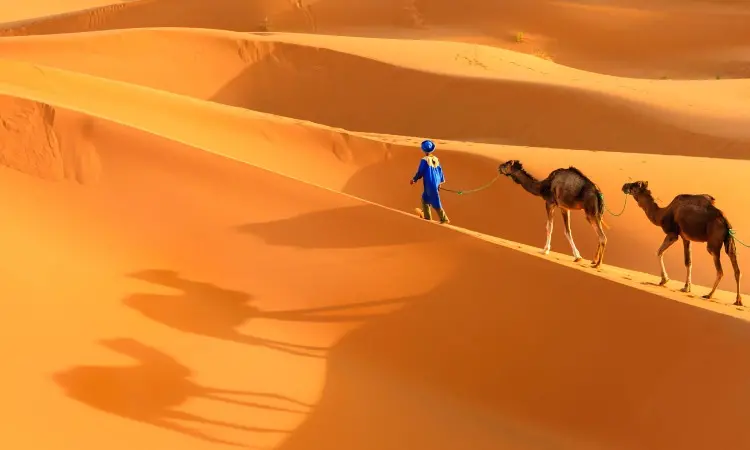 the Sahara Desert