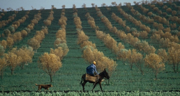 Morocco in May Weather Forecast a Guide to Pleasant Climate