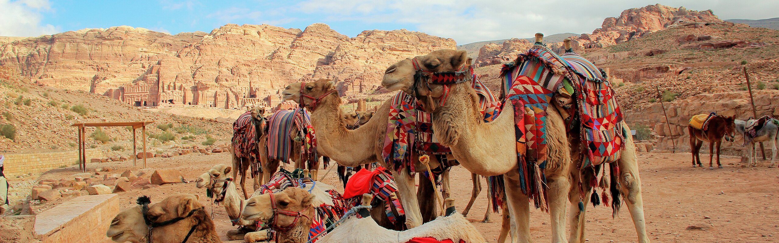 The Top 3 Itineraries for 5 Days in Jordan