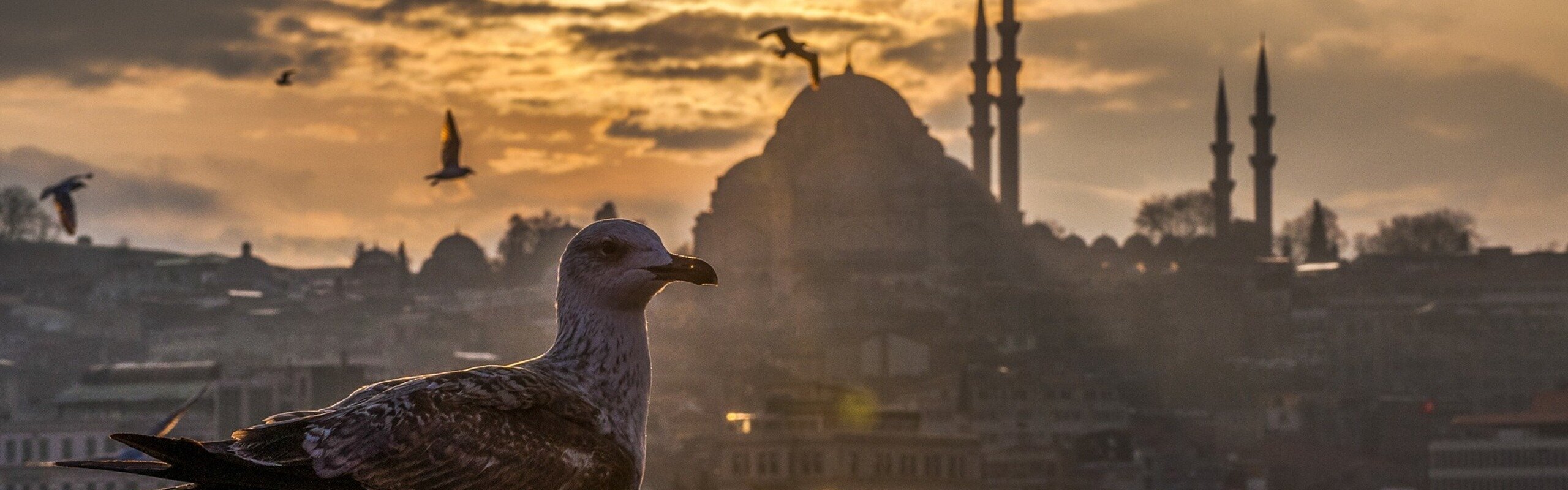 The Top 7 Places to Visit in Turkey