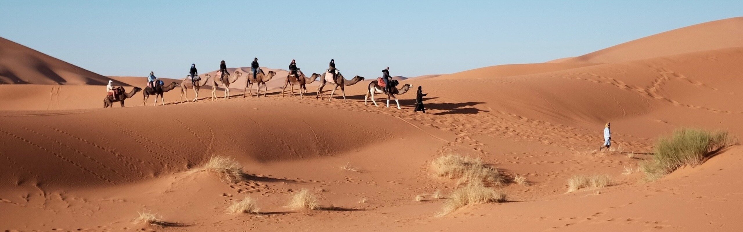 How to Avoid Crowds When Traveling in Egypt