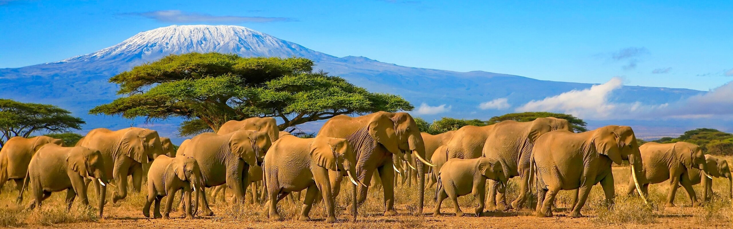 Kenya Weather in October 2025: Travel Tips for First-Timers