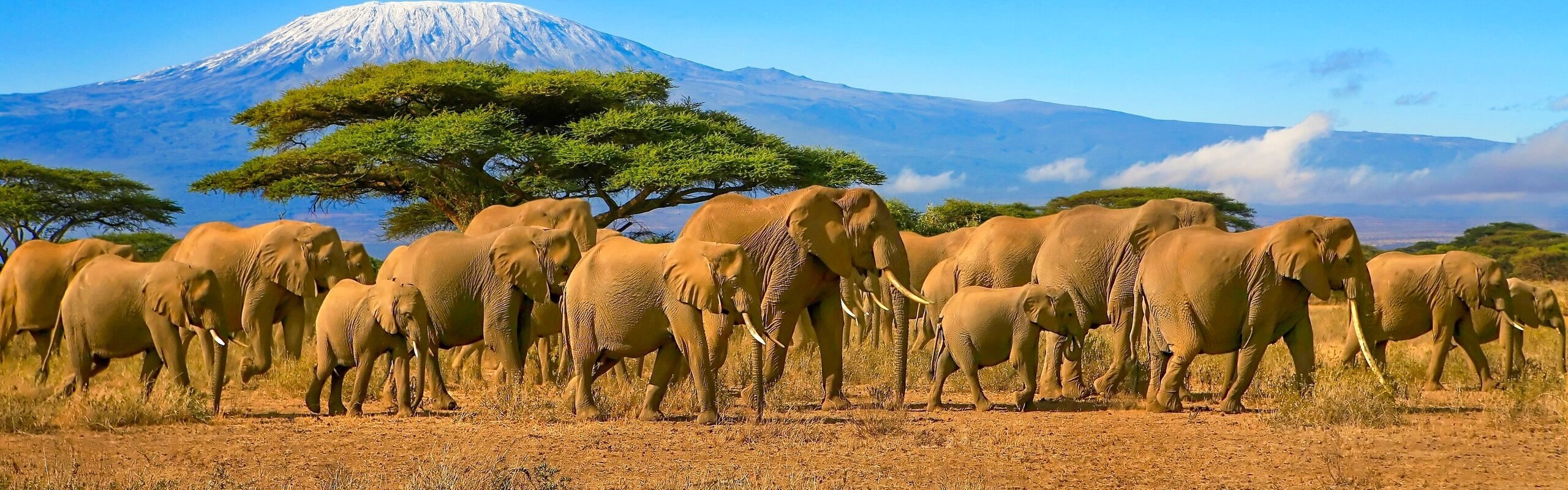 How to Plan a Lifetime Trip to Kenya 