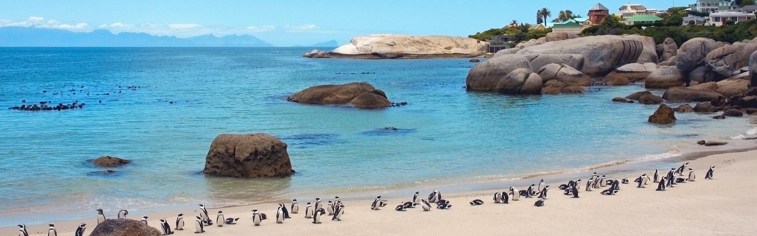 South Africa Weather in August 2025: Travel Tips for First-Timers