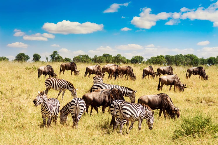 1 Week in Kenya — 4 Time-efficient Itineraries with Special Experience