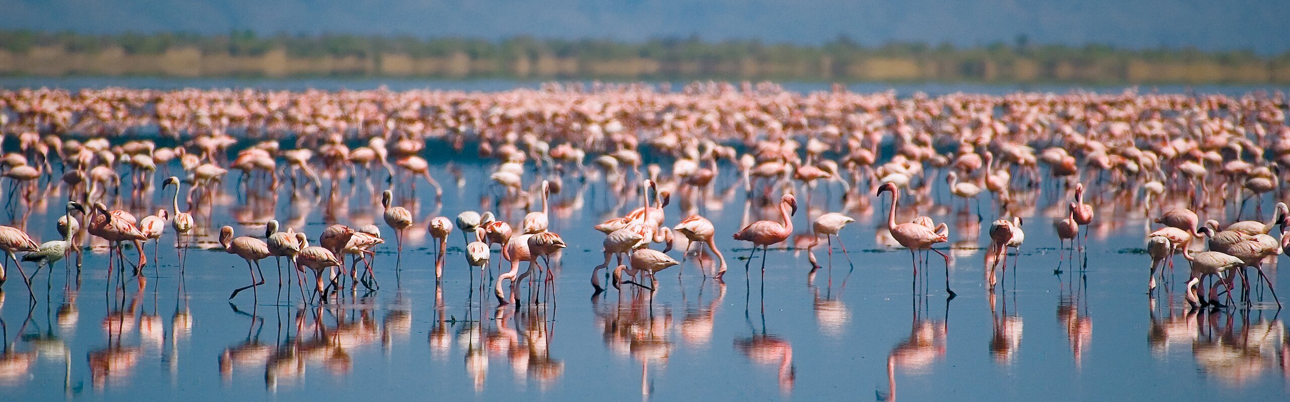 Tanzania Weather in July 2025: Travel Tips for First-Timers
