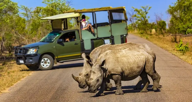 Kruger National Park