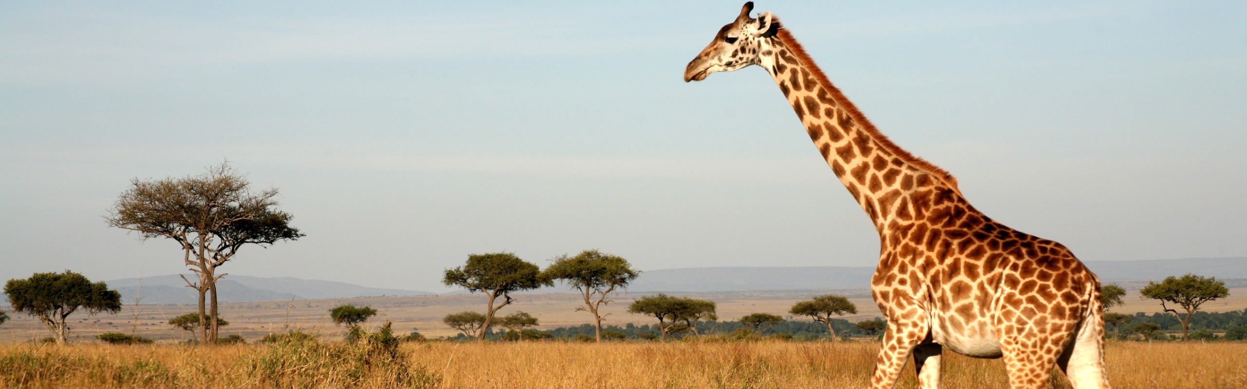 Kenya Weather in December | Thomas Cook Weather in kenya in december