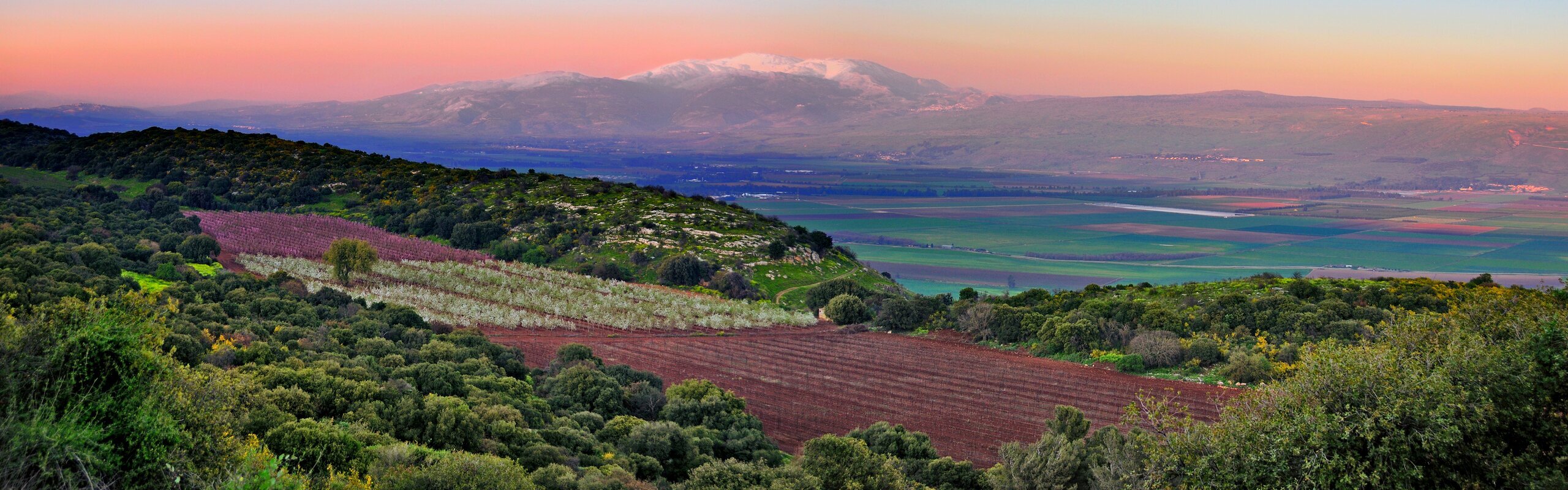 Israel Weather in March 2025: The Beginning of Spring, Places to Visit