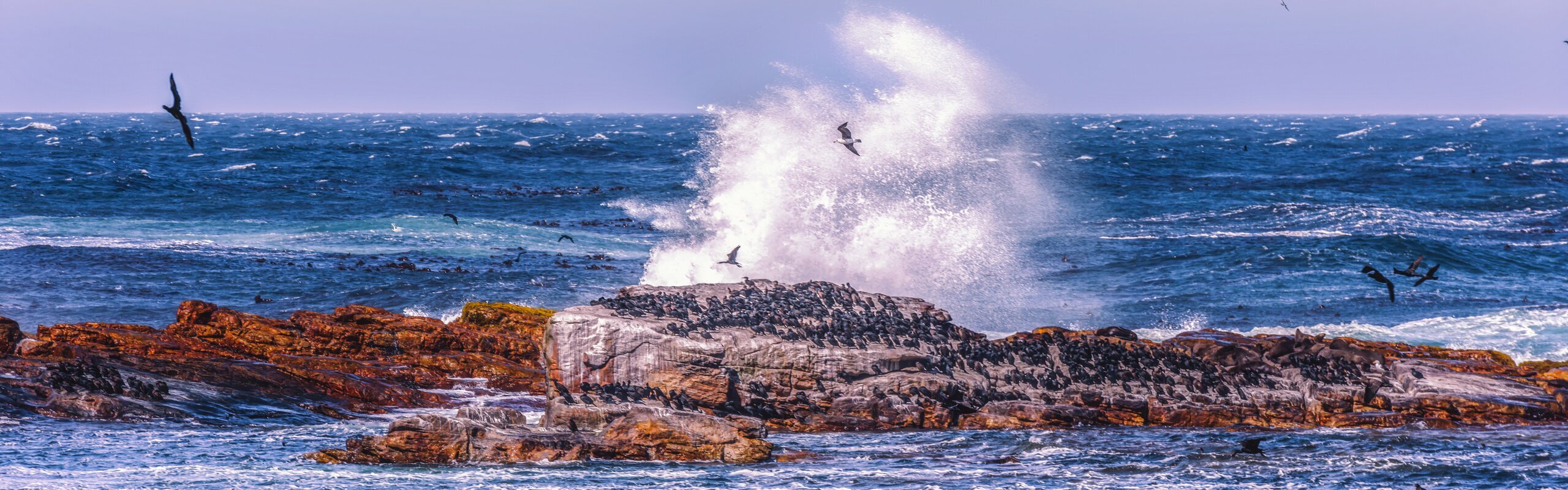 South Africa Weather in January 2025: Travel Tips for First-Timers