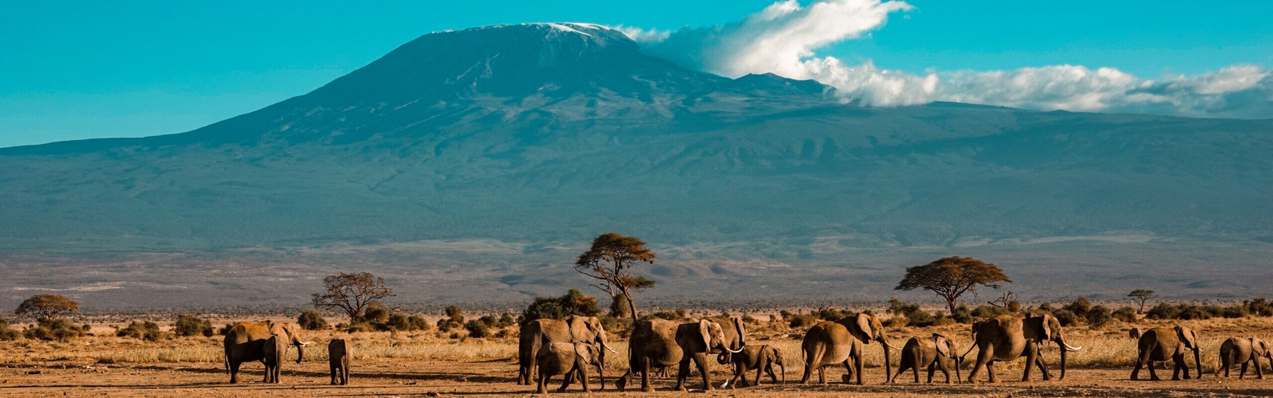 1 Week in Kenya — 4 Time-efficient Itineraries 