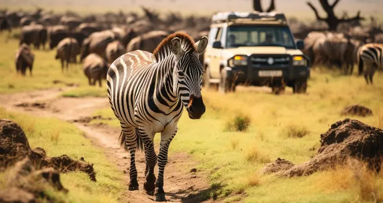 Masai Mara game drives