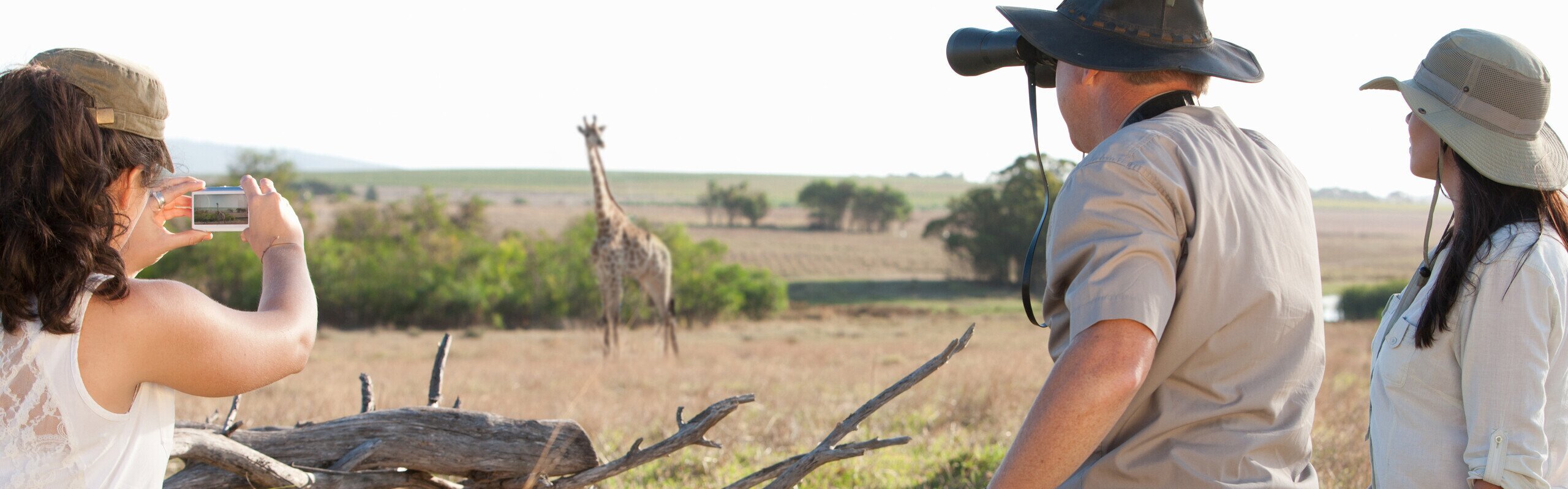 7 Days in South Africa: The 5 Best Itineraries for First Timers 2025