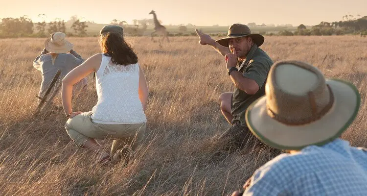 fly-in safari