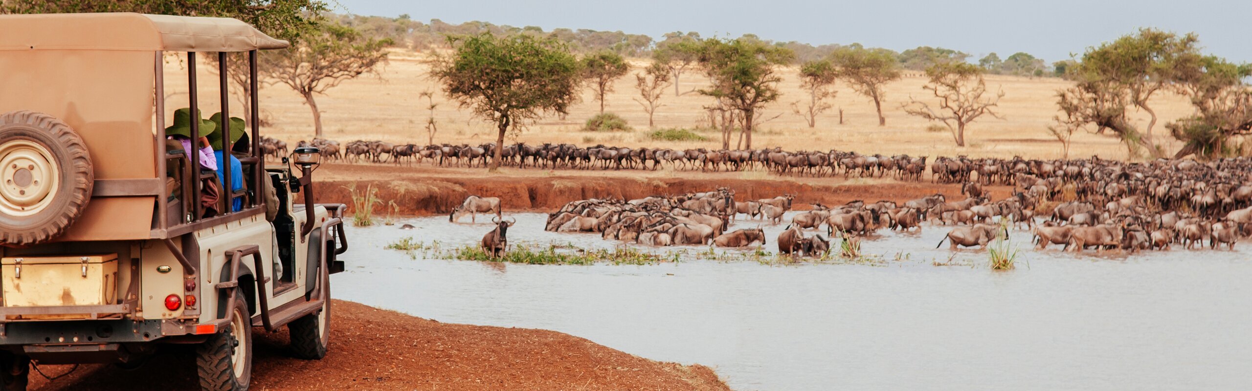 How to Plan Your Dream Safari in Tanzania: 8 Easy Steps