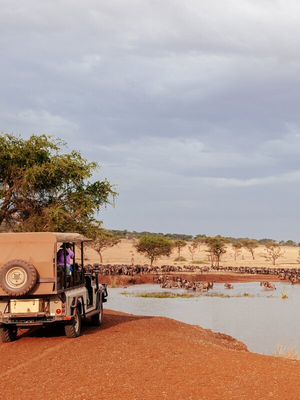 Kenya Weather in December 2025: Travel Tips for First-Timers