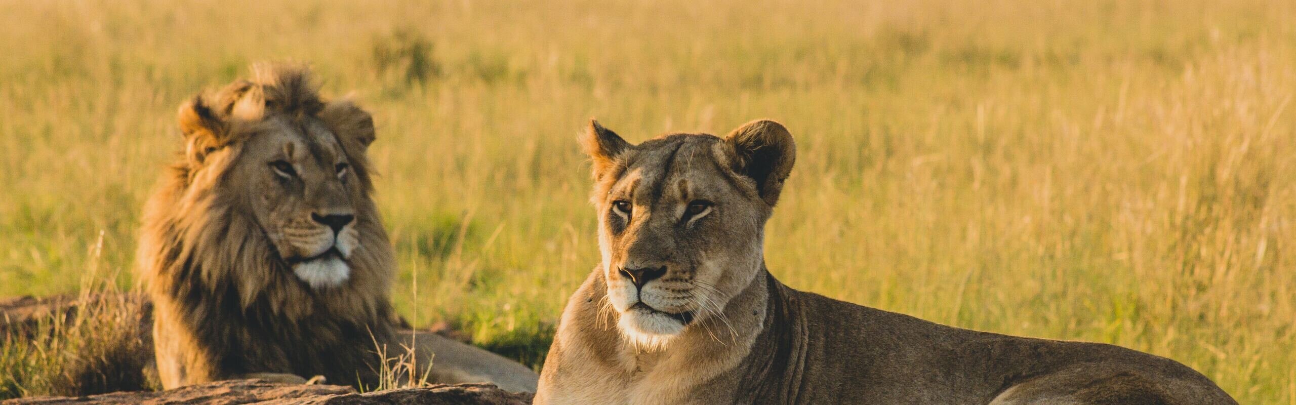 Kenya Travel Guide: Customize a Unique Personalized Trip