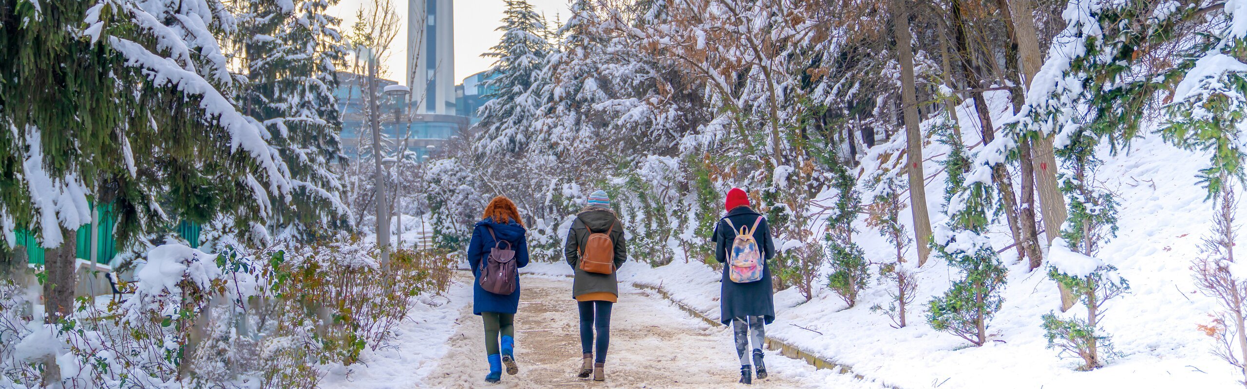 Turkey Weather in December 2025: Travel Tips for First-Timers