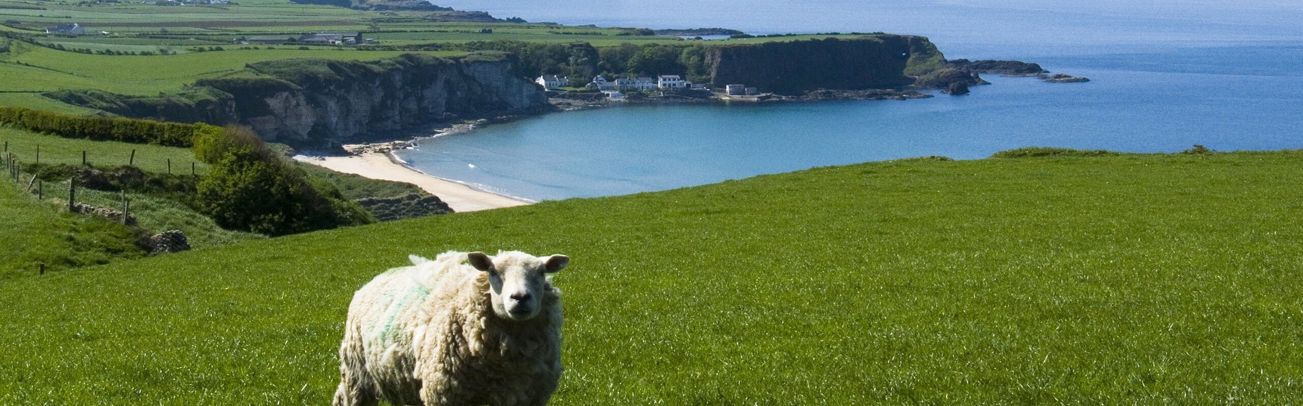 Ireland Weather in May 2025: Travel Tips for First-Timers