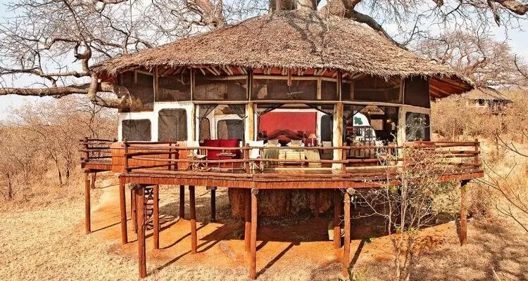Tarangire Treetops