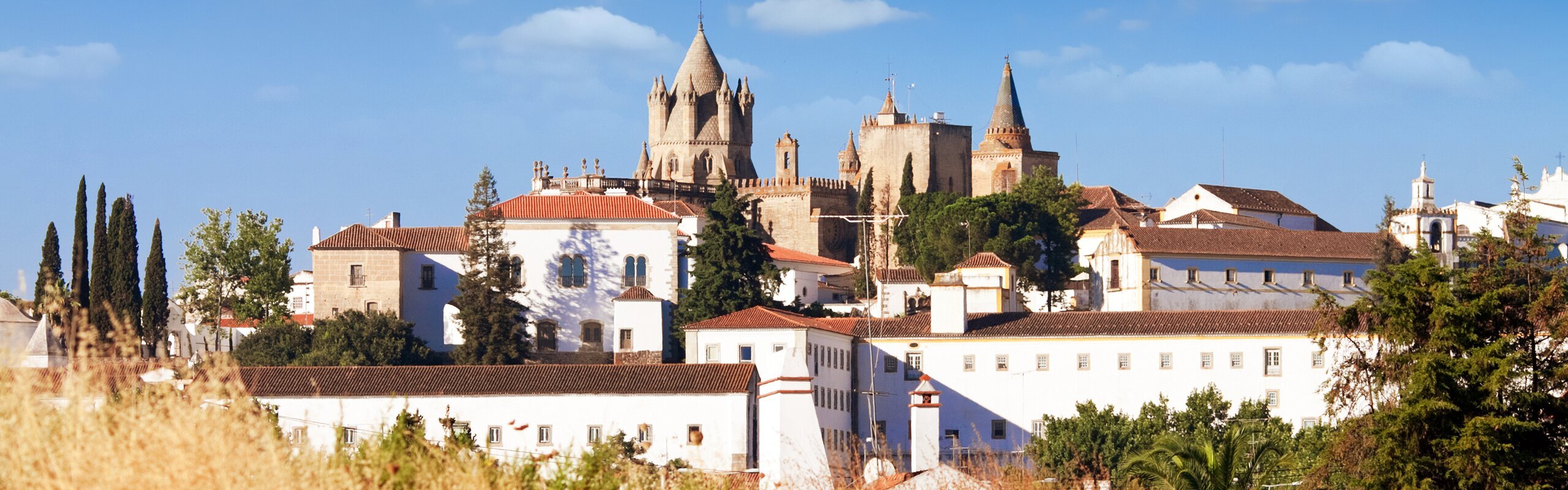 7-Day Lisbon & Alentejo Food & Wine Adventure