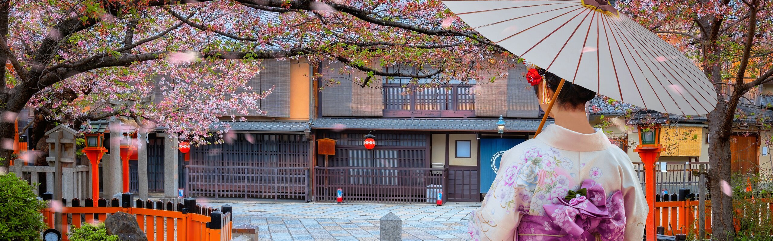 Japan Private Tours 2025: Unique Personalized Experiences