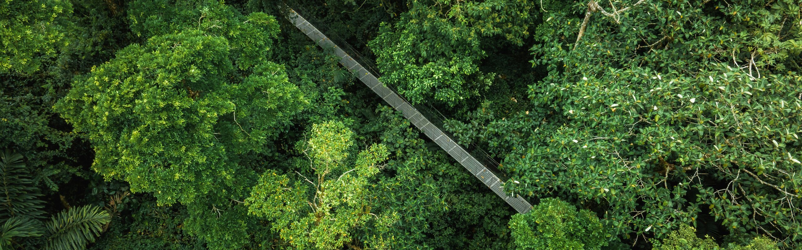 Costa Rica Weather in March 2025: Travel Tips for First-Timers
