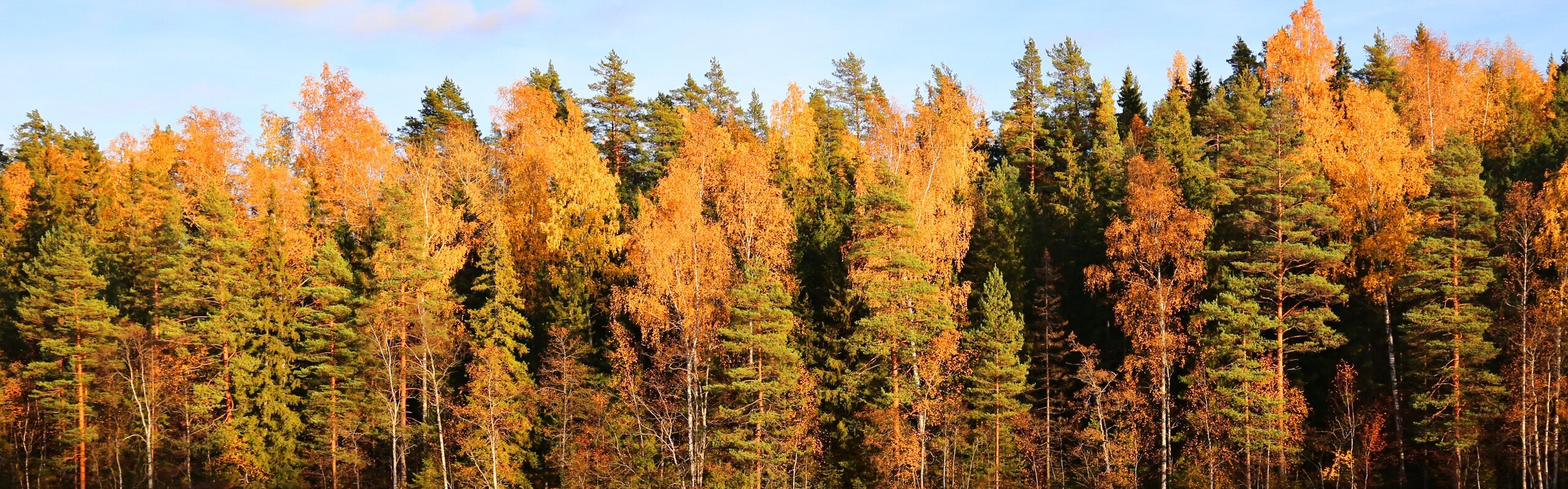 Finland Weather in October 2025: Travel Tips for First-Timers