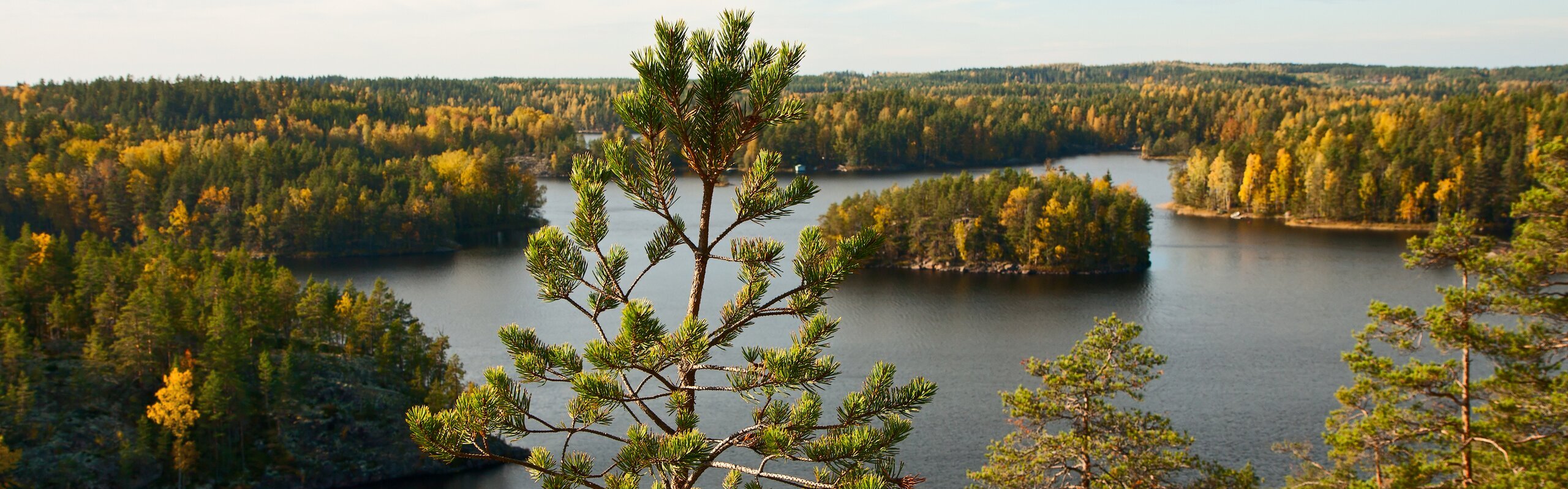 Finland Weather in September 2025: Travel Tips for First-Timers